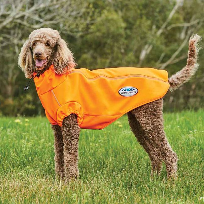 WeatherBeeta ComFiTec Active Dog Coat - Orange image number null