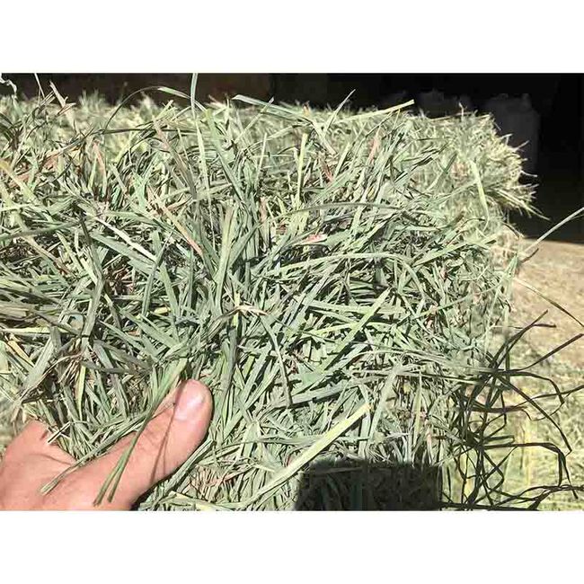 Pleasant View Farms 3 String Western Orchard Grass Bale | The Cheshire ...
