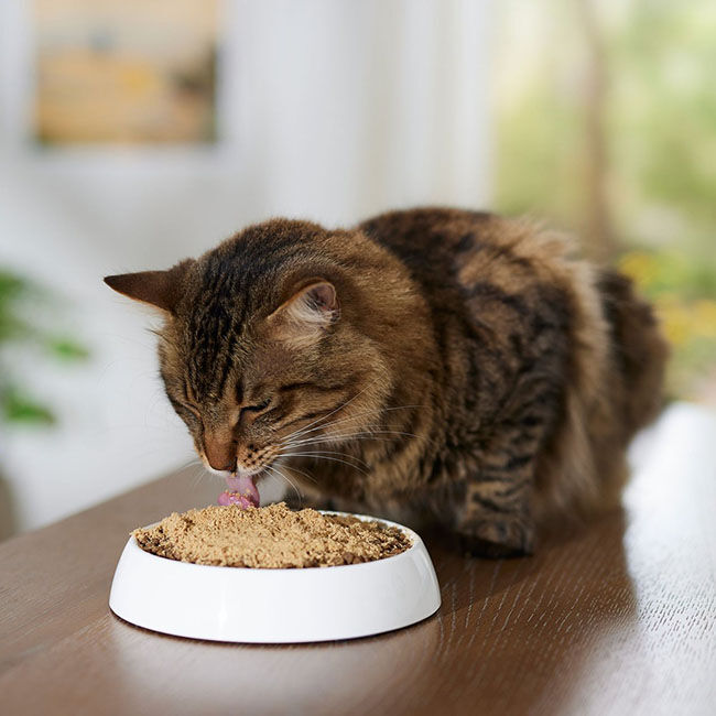 Stella & Chewy's Freeze-Dried Raw Marie's Magical Dinner Dust Wild-Caught  Salmon & Cage-Free Chicken Recipe Dry Cat Food, 7 oz.