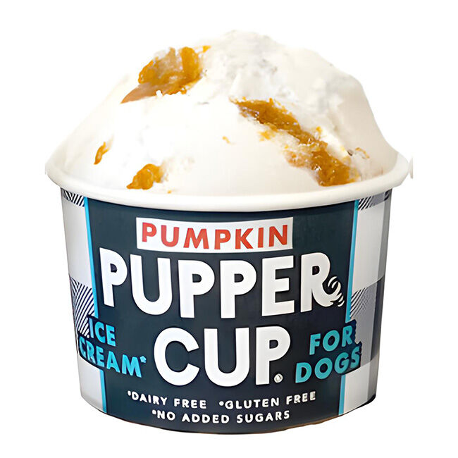 Pupper Cup Ice Cream for Dogs - Pumpkin image number null