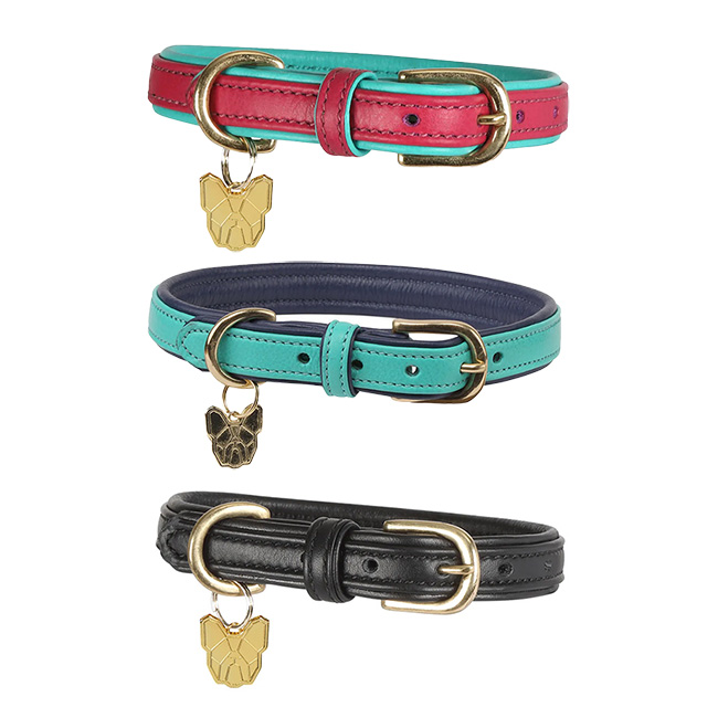 Dogs and horses outlet padded collar