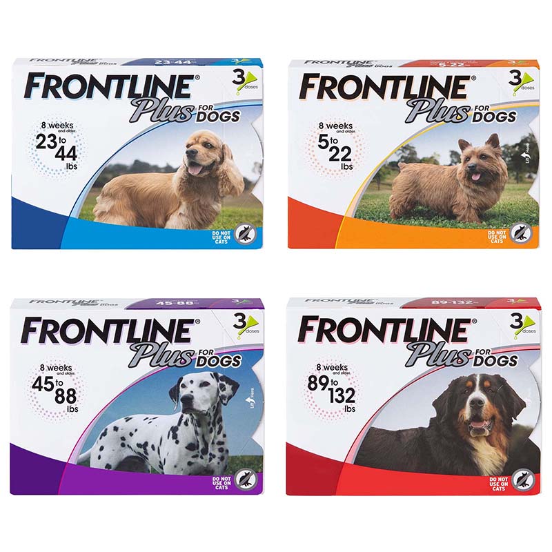 when is it safe to touch dog after applying frontline