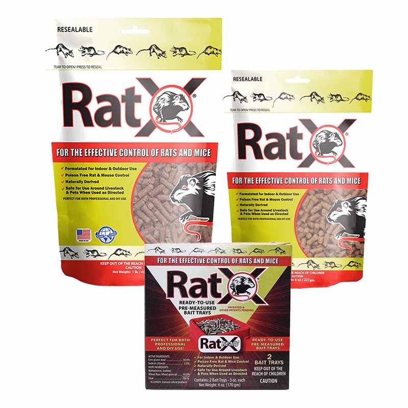 Why Rat X Is The Only Rat Poison I Will Ever Use - Safe
