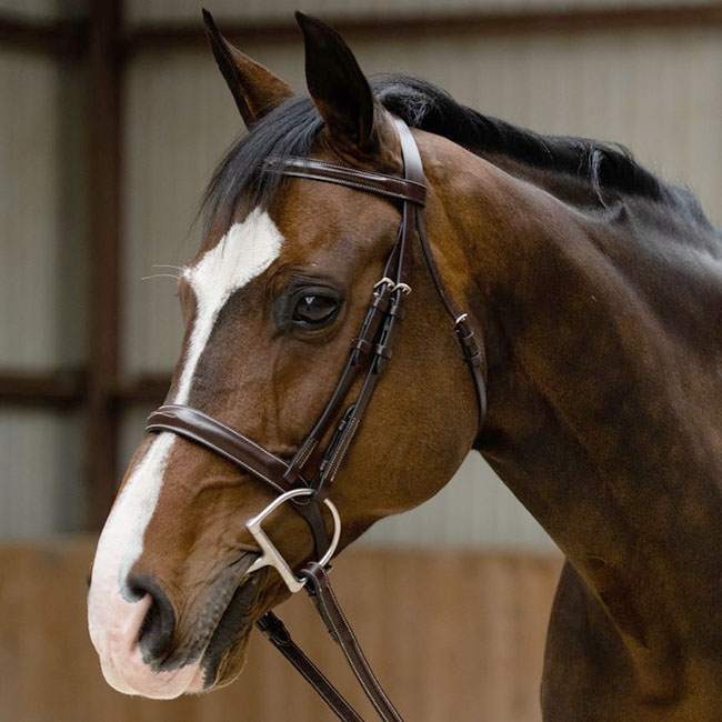 KL Select Black Oak Poppy Hunter Bridle | The Cheshire Horse