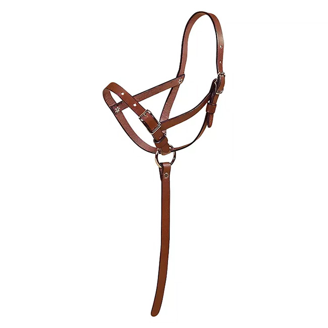 Tory Leather Slip Foal Halter | The Cheshire Horse