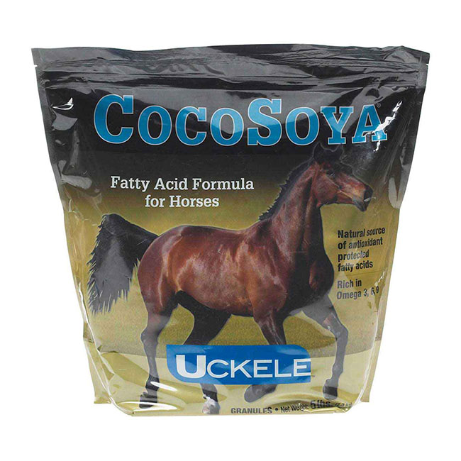 Cocosoya store for dogs